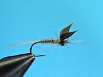 Goldribbed Mayfly - Half spent