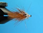 CDC Sedge