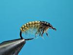 Hydro-Larva