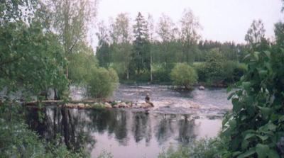 Mylly-uoman puolivälissä osa sen vesistä ohjautuu varsinaiseen koskeen.