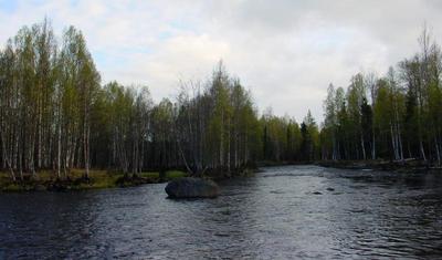 Hienoa koskivettä. Vesi melko ylhäällä.