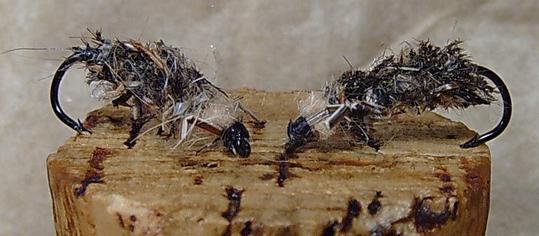 Vesiperhosen Risukoppa