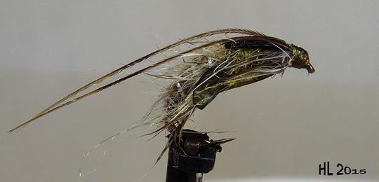 Se on PuPa