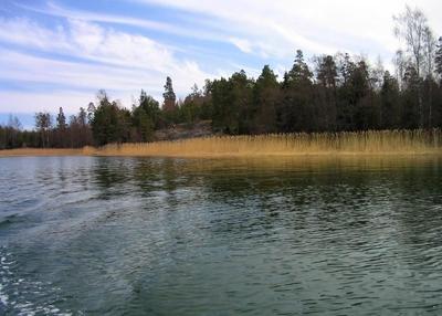 Ottipaikka