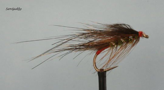 Solmun jätin perhoon muistoksi