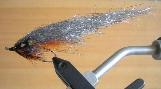 Partridge salar #5