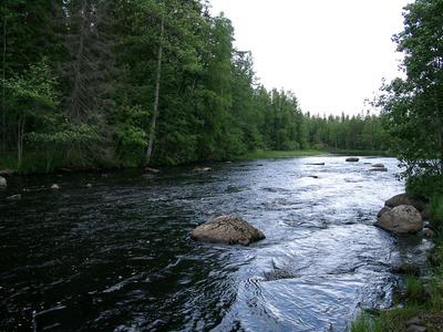 Sillan alapuolinen koski