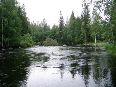 Kosken niskaa suvannon jälkeen