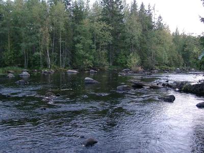 II b:n yläosa