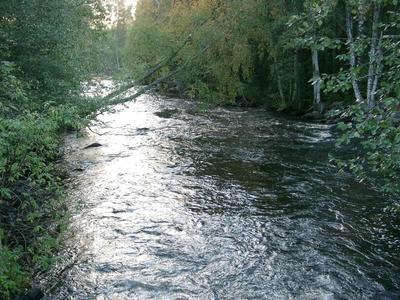 Rauhoitusalue aukeaa vuonna 2003