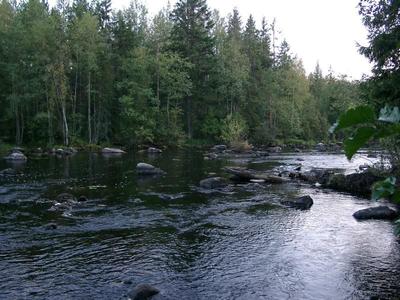 Hetki ennen hämärää