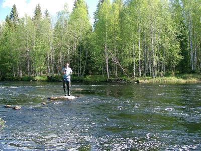 Kiekinjoki kauniina