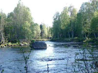 Nuotiopaikan pooli