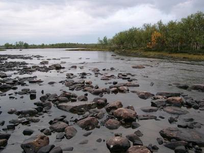 Rauhallinen mutka