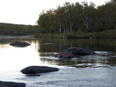 Kalojen huijattavana