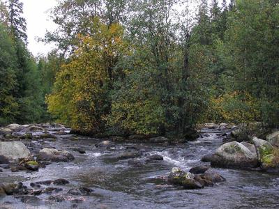 Kalojakin kivien keskelle mahtuu