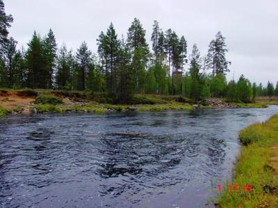 Pikkuharrien päiväkoti