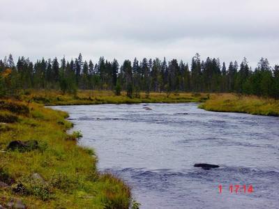 Tuon mutkan jälkeen se laavu tulee… 
