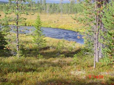 Takaisin joelle ruuan jälkeen 