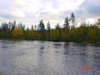 Taimenen ottipaikka