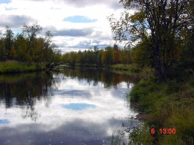 Laavulta oikealle (illan ottipaikka)