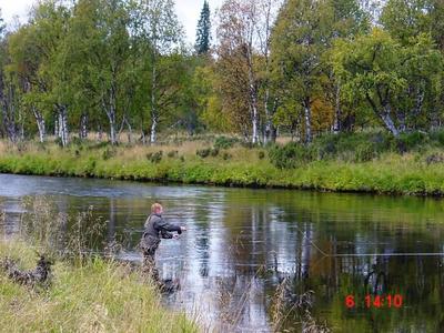 Tumppi vetää pikkuharreja 