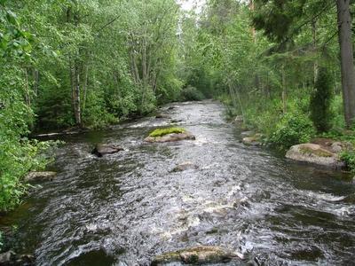 Koskelankosken sillallta