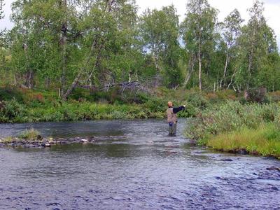 Joki haarautui monesti useammaksi uomaksi