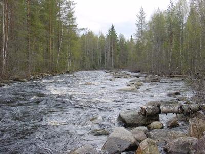 Vettä on ns. riittävästi