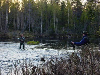 Tumppi väsyttää ja Aksu tarkkailee
