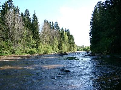 Pitkäkoski korkean veden aikaan keväällä