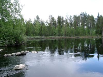 Pitkäkosken peilimäinen niska