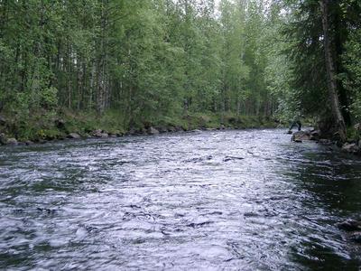 Vettä riittää alkukaudesta hyvin