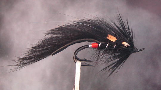 Glödhäck/Black Doc. nro 4.