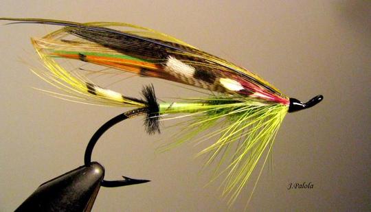 Green highlander 