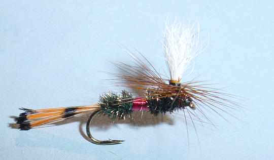 Royal Coachman (Sidos Perhokulma)