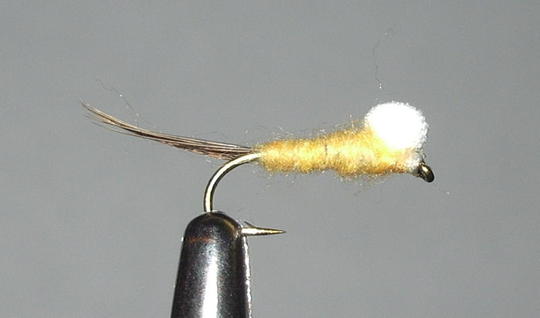 #14