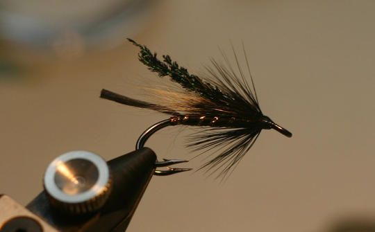 Black Cosseboom (muunnos)