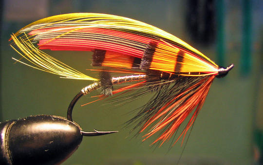 #4 Single Wilson