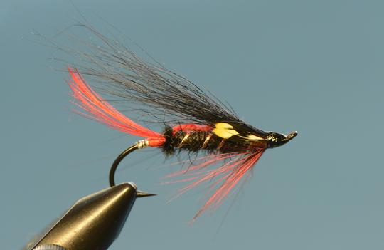 Black Vera