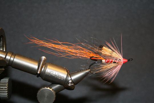 Ally's Shrimp