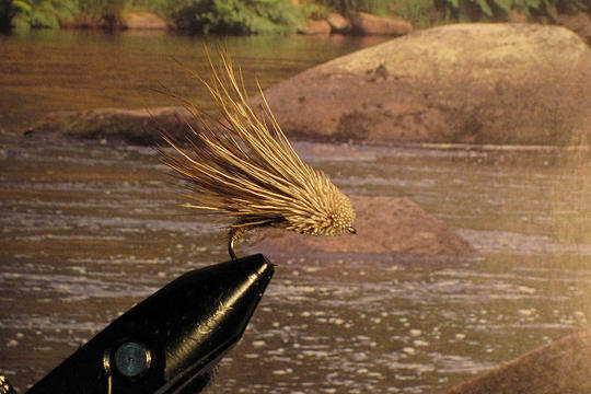 Streaking caddis