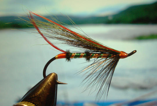 Partridge Single Salmon #1