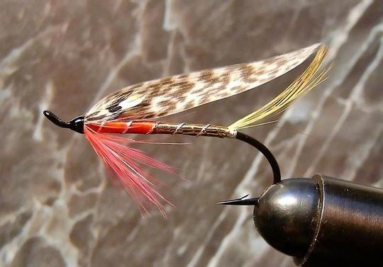 Gold & Red