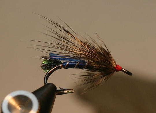 Blue Rat