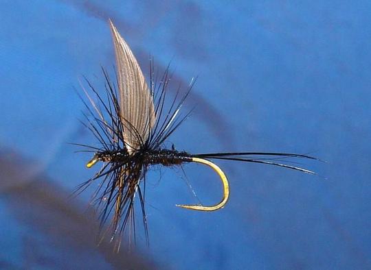 Black Dun