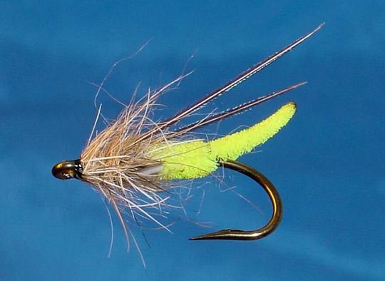 Chenille pupa
