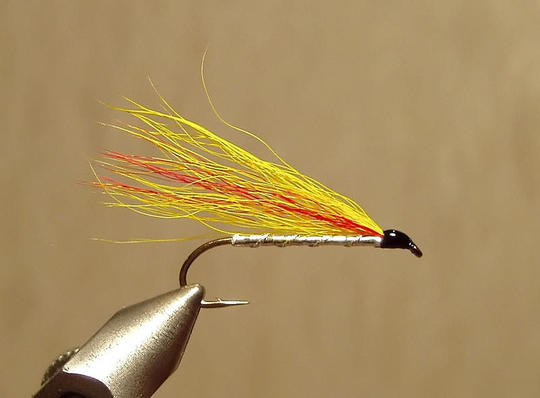 Mickey Finn