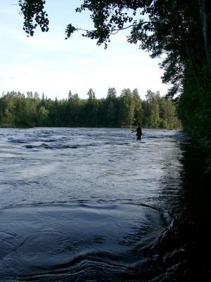 Kärmekosken kevyitä kuohuja