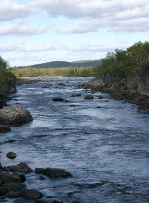 Keskiosien jälkeen Silisjoki on jo joen kokoinen